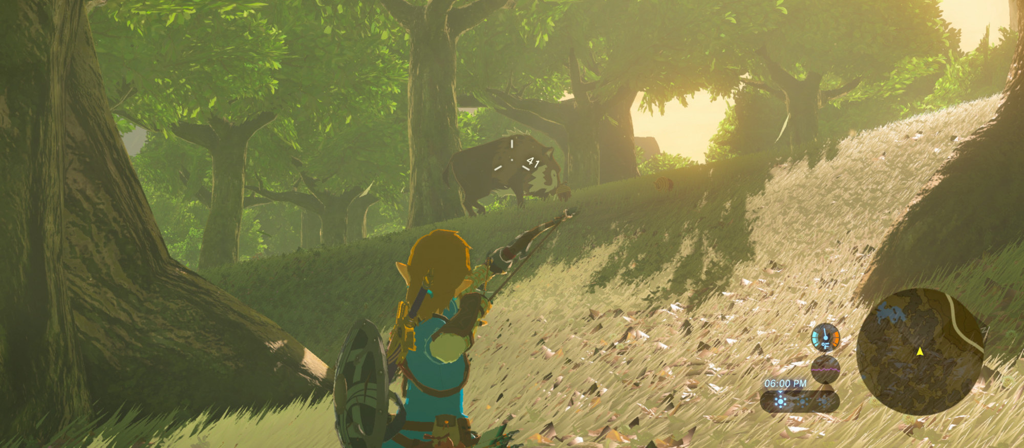 The Legend of Zelda : Breath of the Wild Ninitendo Switch 2 Edition