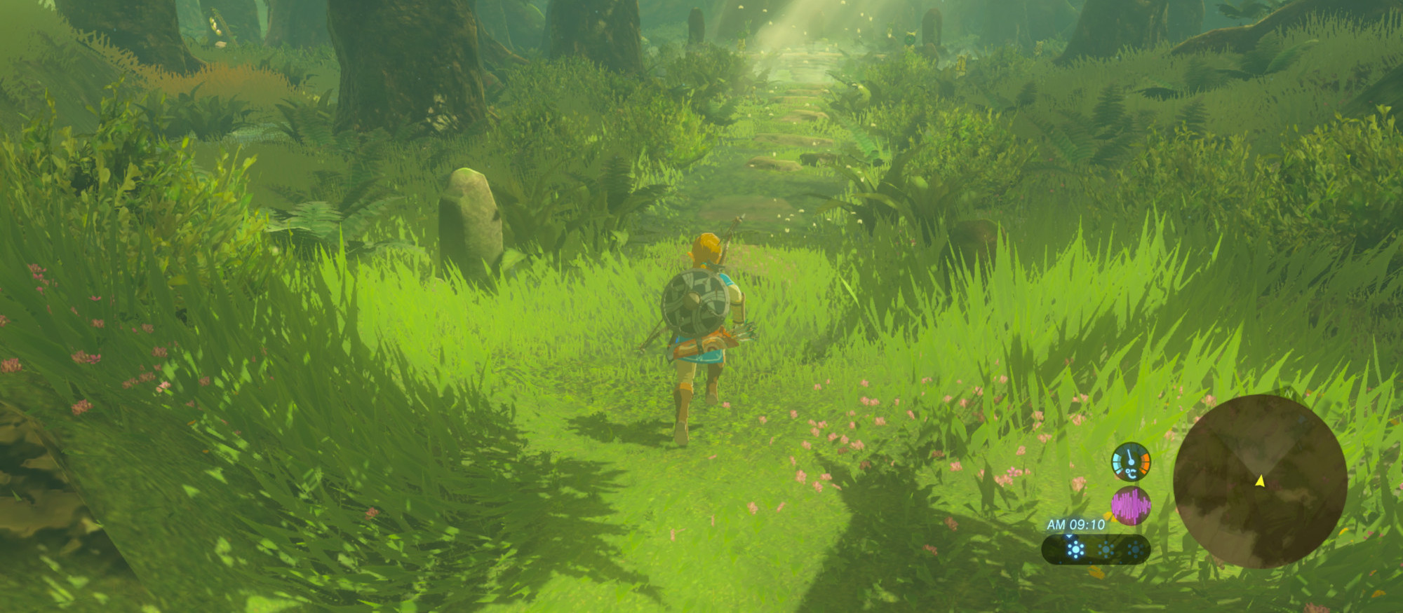 The Legend of Zelda : Breath of the Wild Ninitendo Switch 2 Edition