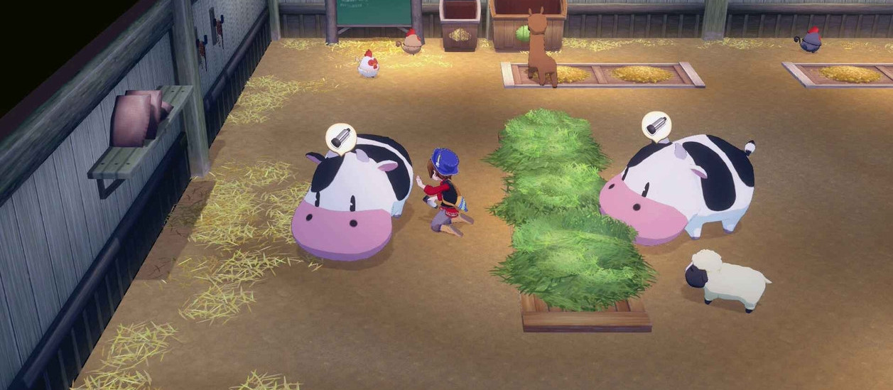 Story of Seasons : Grand Bazaar