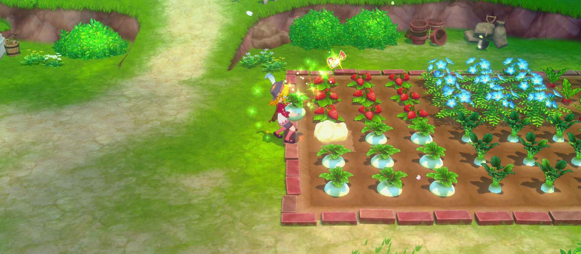 Story of Seasons : Grand Bazaar