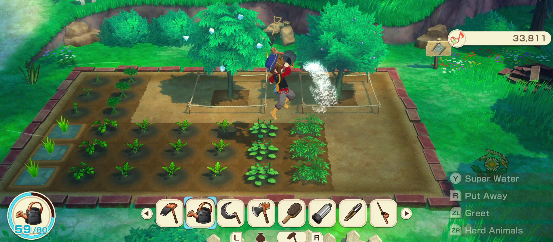 Story of Seasons : Grand Bazaar