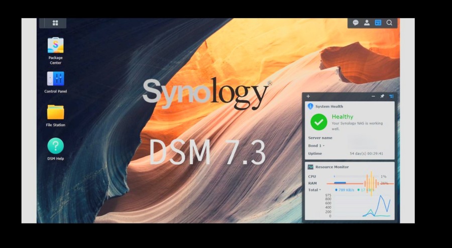 DSM